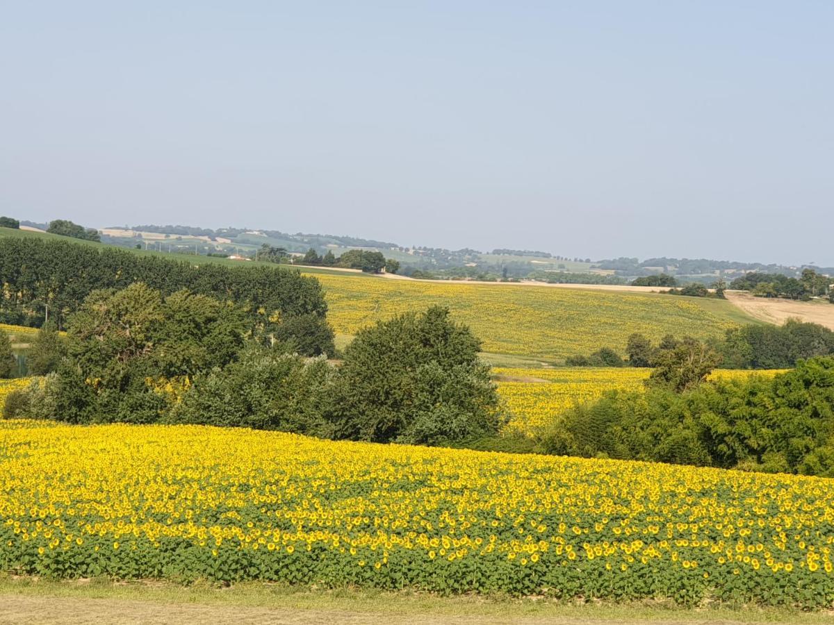 Gite La Halippe Caussens Exterior photo